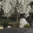 Trees and Bushes Collection Set 152 - mio
