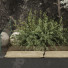 Trees and Bushes Collection Set 152 - mio