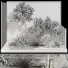 Trees and Bushes Collection Set 152 - mio