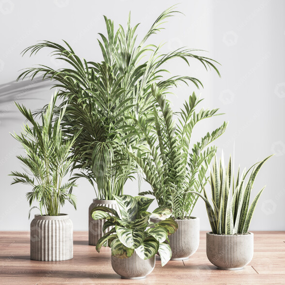 Plantes en pot Ensemble intérieur 053 modèle 3D