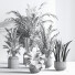 Plantes en pot Ensemble intérieur 053 - nasrinrad