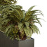 Plantas y banco HQ Conjunto de entorno urbano 18 - Pandora-land