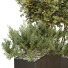 Plantas y banco HQ Conjunto de entorno urbano 18 - Pandora-land