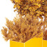 Plantas y banco HQ Conjunto de entorno urbano 18 - Pandora-land