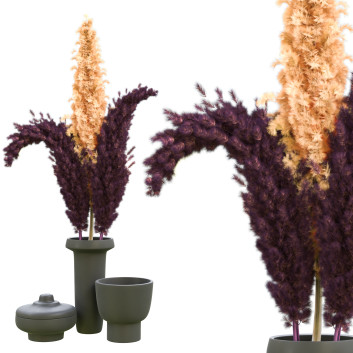 Bouquet  Pampas vol 04 Modèle 3D