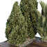 Rośliny i ławka HQ Garden Box Outdoor Vol 39 - Pandora-land