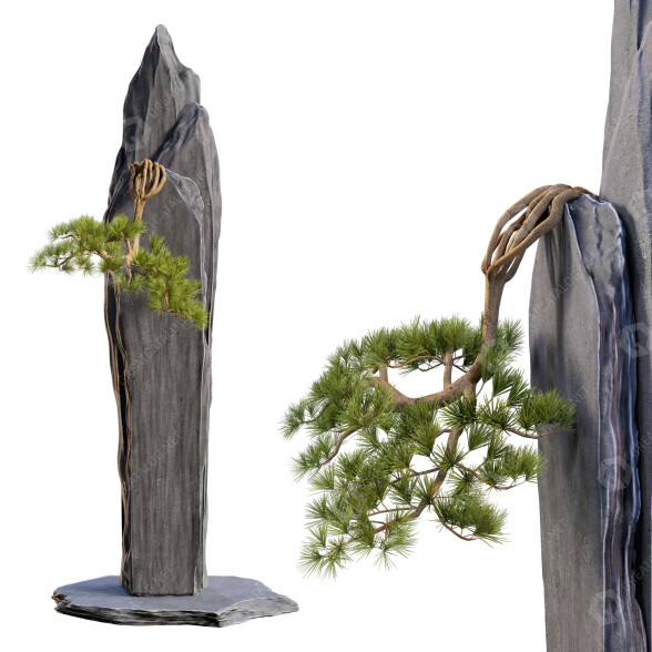 Bonsái y piedra 01 Modelo 3D
