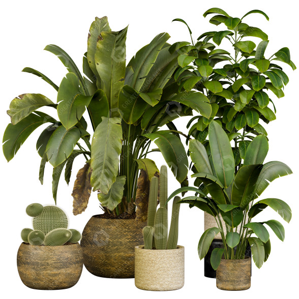 Plantes en pot Collection 145 modèle 3D