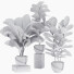 Plantas en macetas Conjunto de interior 18 - farshidtavakoli