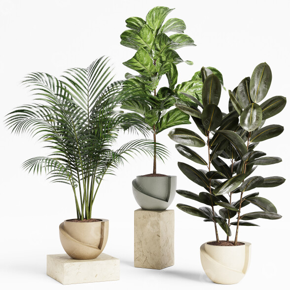 Plantas en macetas Conjunto de interior 18 Modelo 3D