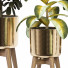 Plantes en pot Collection 148 - uniquevry