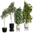 Plantes en pot Collection 152 - uniquevry