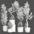 Plantes en pot Collection 157 - uniquevry