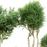Plantes en pot Ensemble d'Intérieur 54 - uniquevry