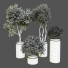 Plantes en pot Ensemble d'Intérieur 54 - uniquevry