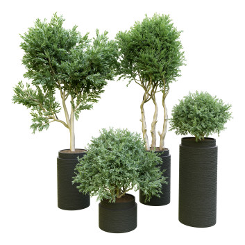 Plantes en pot  Ensemble d'Intérieur 54 Modèle 3D