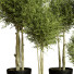 Plantes en pot Ensemble d'Intérieur 55 - uniquevry