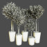 Plantes en pot Ensemble d'Intérieur 55 - uniquevry