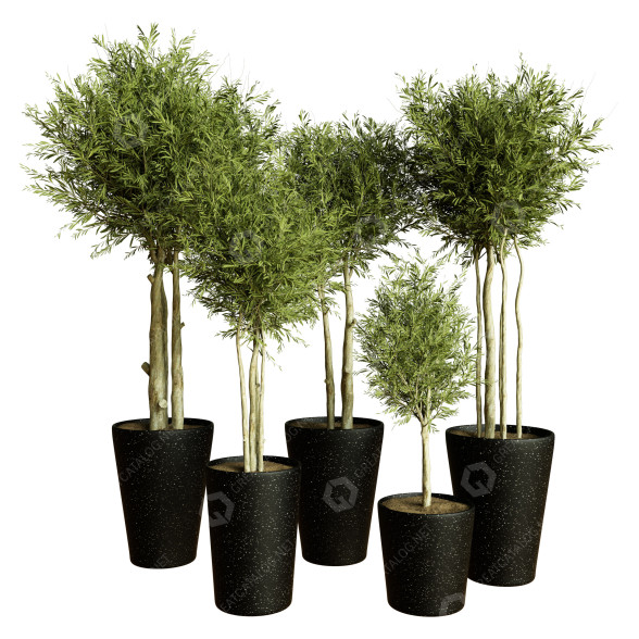 Plantes en pot Ensemble d'Intérieur 55 modèle 3D