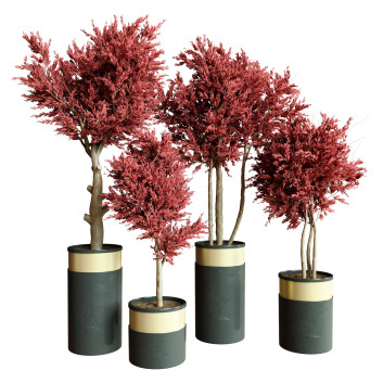 Plantes en pot  Ensemble d'Intérieur 56 Modèle 3D