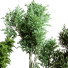 Plantes en pot Ensemble d'Intérieur 57 - uniquevry