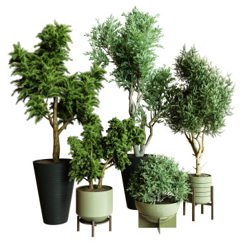 Plantes en pot  Ensemble d'Intérieur 57 Modèle 3D