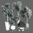 Plantes en pot Ensemble d'Intérieur 57 - uniquevry