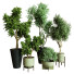 Plantes en pot Ensemble d'Intérieur 57 - uniquevry