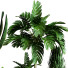 Plantes en pot Ensemble d'Intérieur 58 - uniquevry