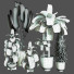 Plantes en pot Ensemble d'Intérieur 58 - uniquevry