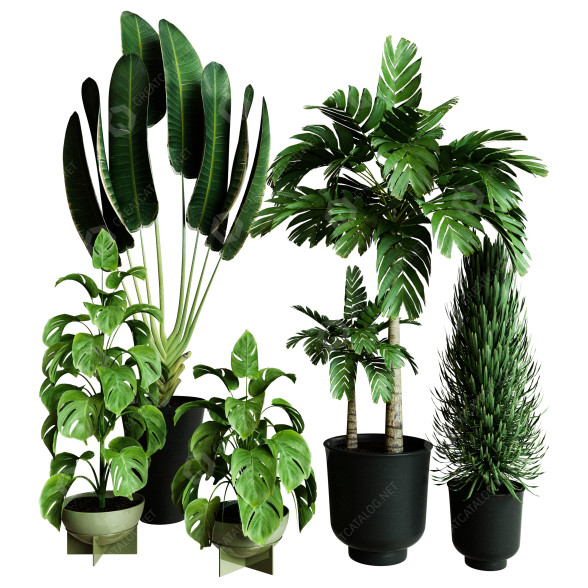 Plantes en pot Ensemble d'Intérieur 58 modèle 3D