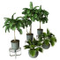Plantes en pot Ensemble d'Intérieur 59 - uniquevry