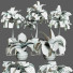 Plantes en pot Ensemble d'Intérieur 59 - uniquevry