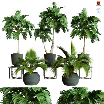 Plantes en pot  Ensemble d'Intérieur 59 Modèle 3D