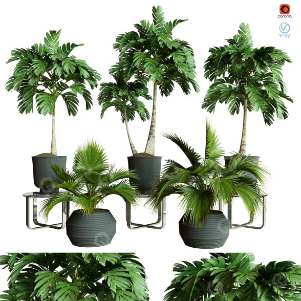Plantes en pot Ensemble d'Intérieur 59 modèle 3D