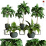 Plantes en pot Ensemble d'Intérieur 59 - uniquevry