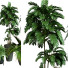 Plantes en pot Ensemble d'Intérieur 60 - uniquevry