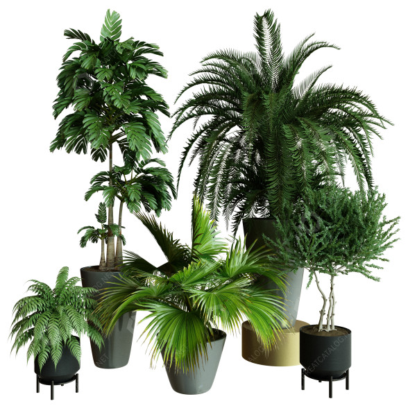Plantes en pot Ensemble d'Intérieur 60 modèle 3D