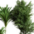 Plantes en pot Ensemble d'Intérieur 61 - uniquevry