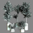 Plantes en pot Ensemble d'Intérieur 61 - uniquevry