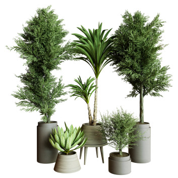 Plantes en pot  Ensemble d'Intérieur 61 Modèle 3D