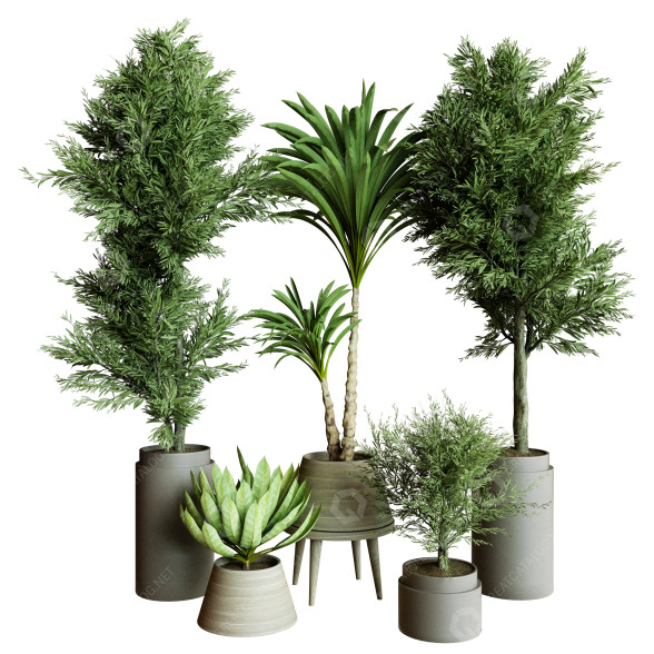 Plantes en pot Ensemble d'Intérieur 61 modèle 3D