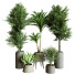 Plantes en pot Ensemble d'Intérieur 61 - uniquevry