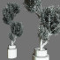 Plantes en pot Ensemble d'Intérieur 62 - uniquevry