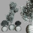 Plantes en pot Ensemble d'Intérieur 63 - uniquevry