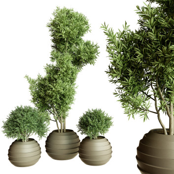 Plantes en pot  Ensemble d'Intérieur 63 Modèle 3D