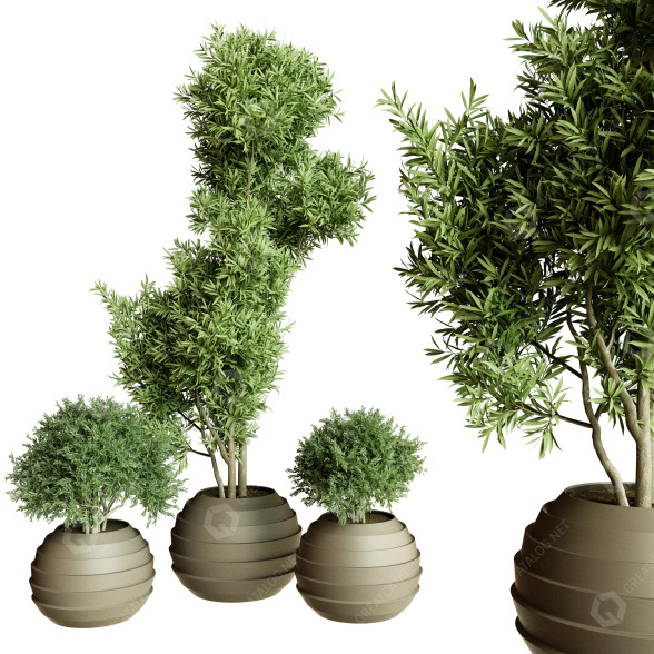 Plantes en pot Ensemble d'Intérieur 63 modèle 3D