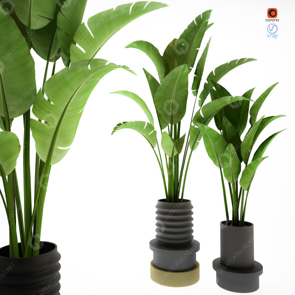 Plantes en pot Ensemble d'Intérieur 68 modèle 3D