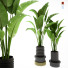 Plantes en pot Ensemble d'Intérieur 68 - uniquevry