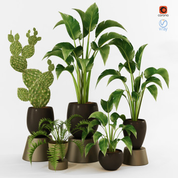 Plantes en pot  Ensemble d'Intérieur 69 Modèle 3D